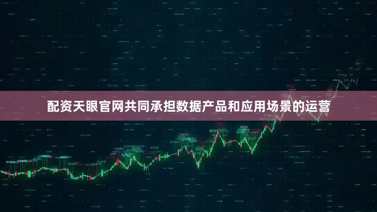 配资天眼官网共同承担数据产品和应用场景的运营